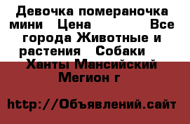 Девочка помераночка мини › Цена ­ 50 000 - Все города Животные и растения » Собаки   . Ханты-Мансийский,Мегион г.